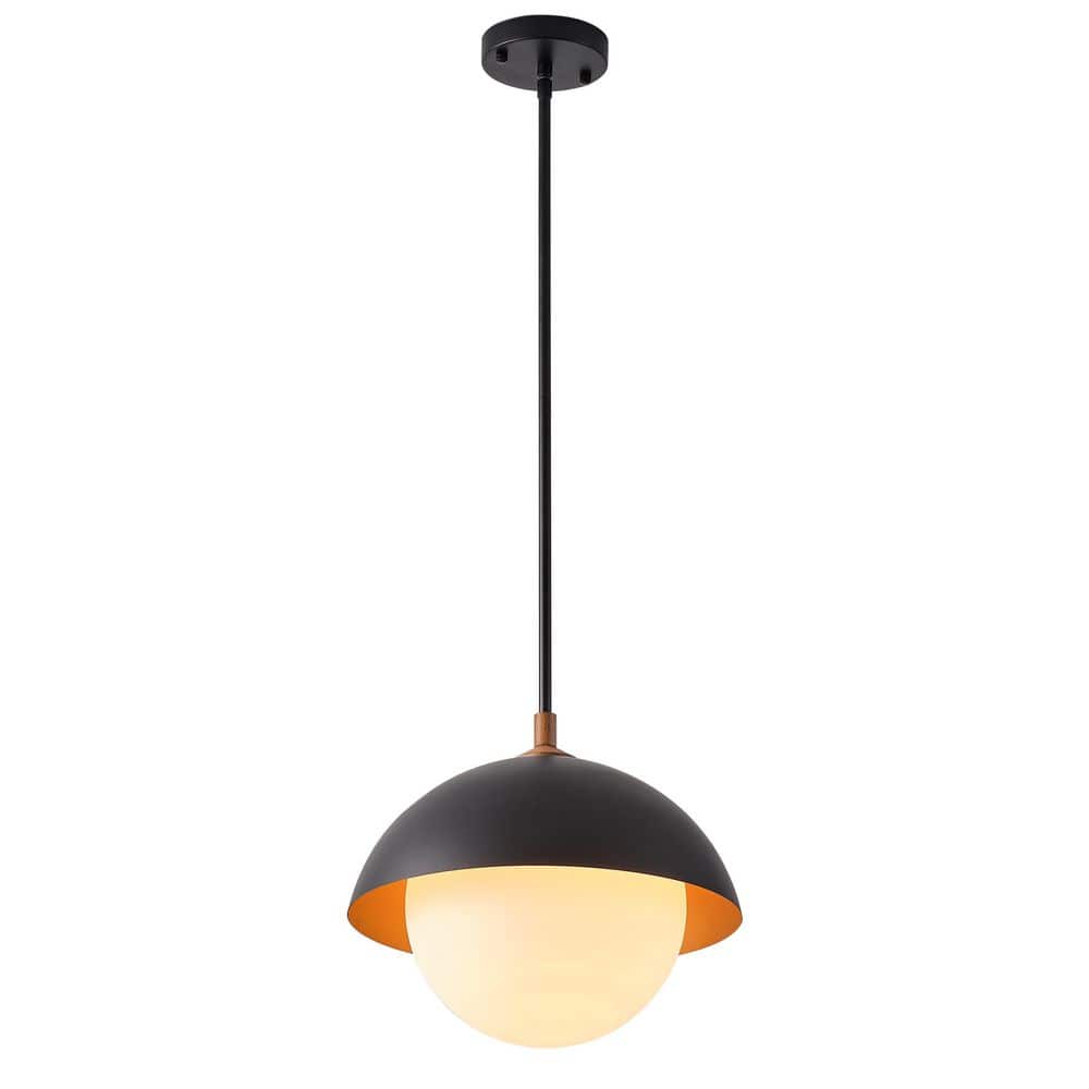 Modern 1-Light Pendant Light Hanging Ceiling Light with Globe Glass Lampsha