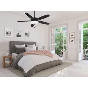 Mojo 52 in. Integrated LED Indoor Coal Ceiling Fan with Light Kit