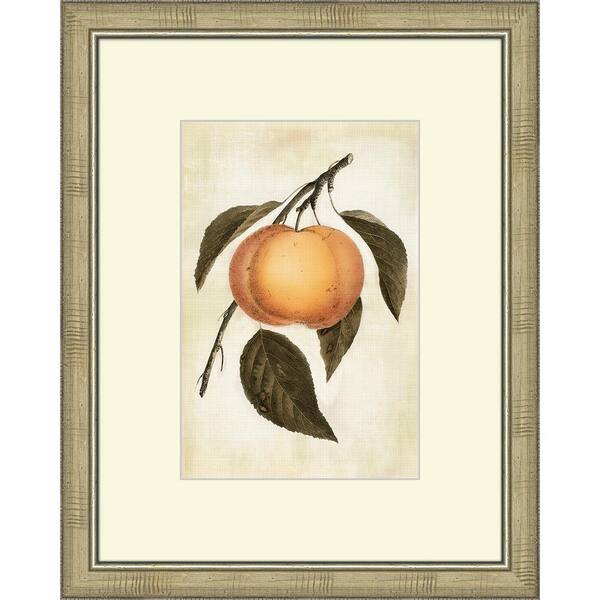 Melissa Van Hise 16 in. x 20 in. "Lovely Fruit III" Framed Giclee Print Wall Art
