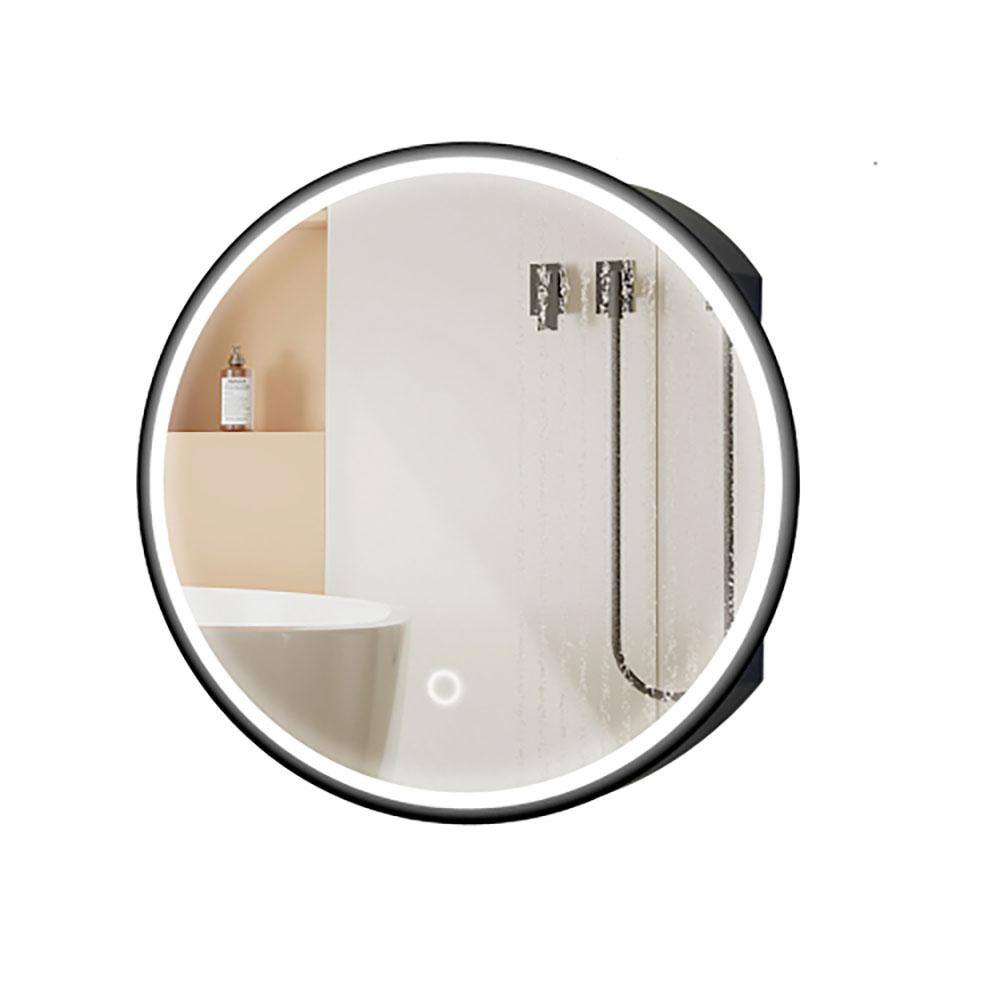 24 in. W x 24 in. H Round Bathroom Medicine Cabinet with Mirror, Wall ...
