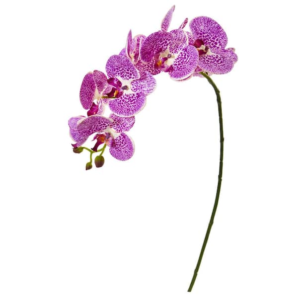 Nearly Natural 30 in. Phalaenopsis Orchid Artificial Flower (Set of 6)