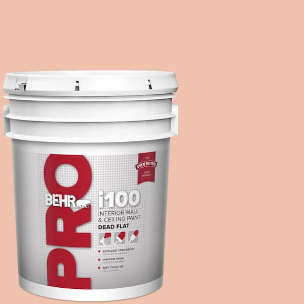 5 gal. #M180-3 Flamingo Feather Dead Flat Interior Paint