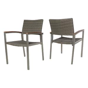 Legacy Silver Stationary Faux Rattan Outdoor Patio Dining Chair (2-Pack)