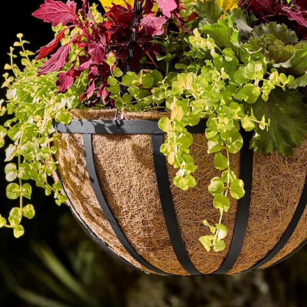 Vigoro English Large Black Metal Hanging Round Planter with Coco