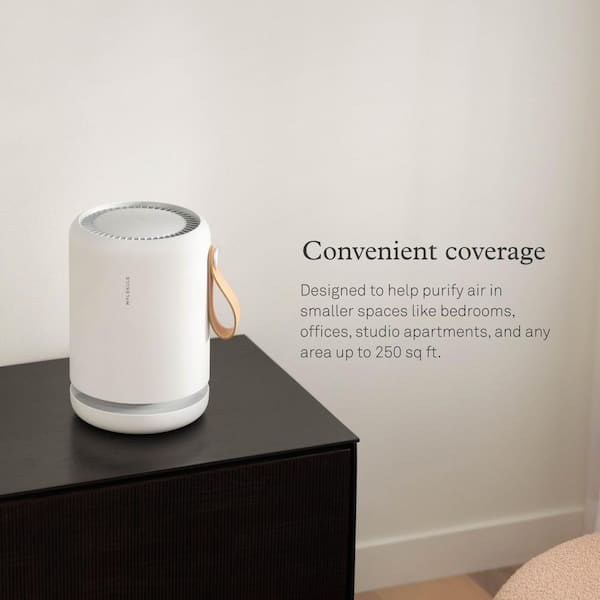 Molekule Air Mini＋ TbQfDcpyqBcxCxQDVfMQxk.jpg