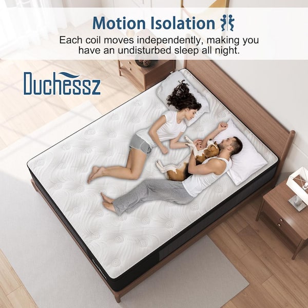 Full Medium Firm Hybrid 12 in. Euro Top Support and Bed-in-a-Box Mattress