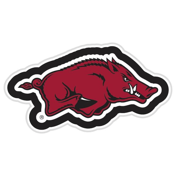 23 in. x 23 in. University of Arkansas Red College Mascot Plug-In LED Lighted Plastic Sign