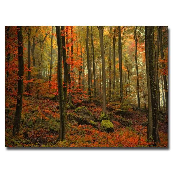 Trademark Fine Art 16 in. x 24 in. Transformation Fall Canvas Art-DISCONTINUED