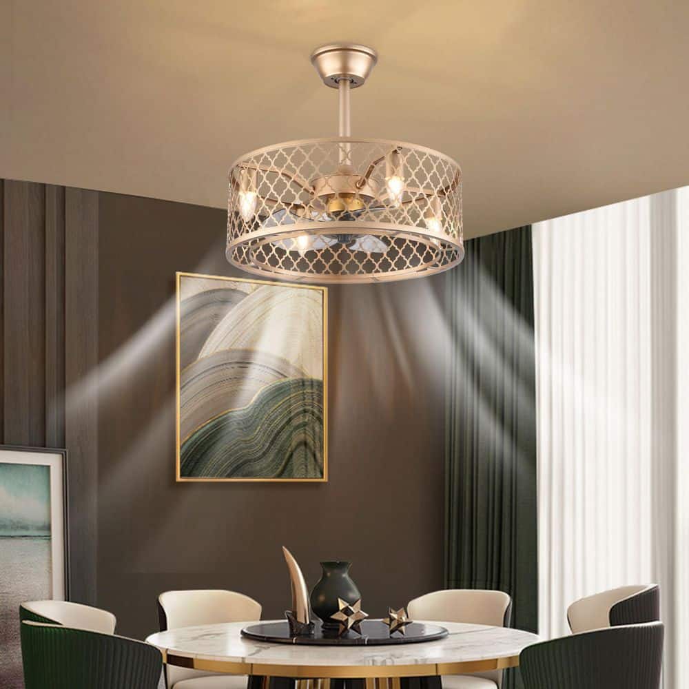 20-Inch Gold Metal Caged Ceiling Fan with Remote and Lighting