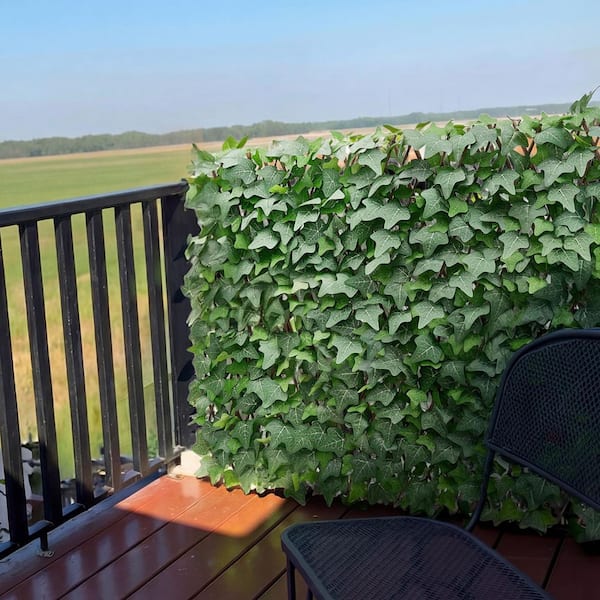 Expandable Fence Privacy Screen,25 in. W x 3.15 in. H Green Plastic Garden Artificial Plant Wall with 50 Zip Ties,1-Pack