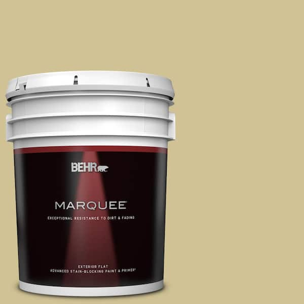 BEHR MARQUEE 5 gal. #370F-4 Winter Mood Flat Exterior Paint & Primer