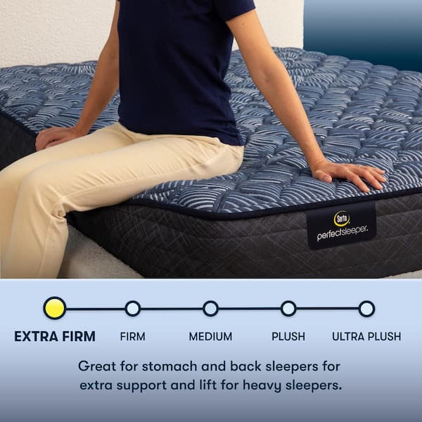Perfect Sleeper Oasis Sleep Queen Extra Firm 12 in. Mattress