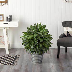 34 in. Artificial Silver King Plant in Decorative Tin Bucket
