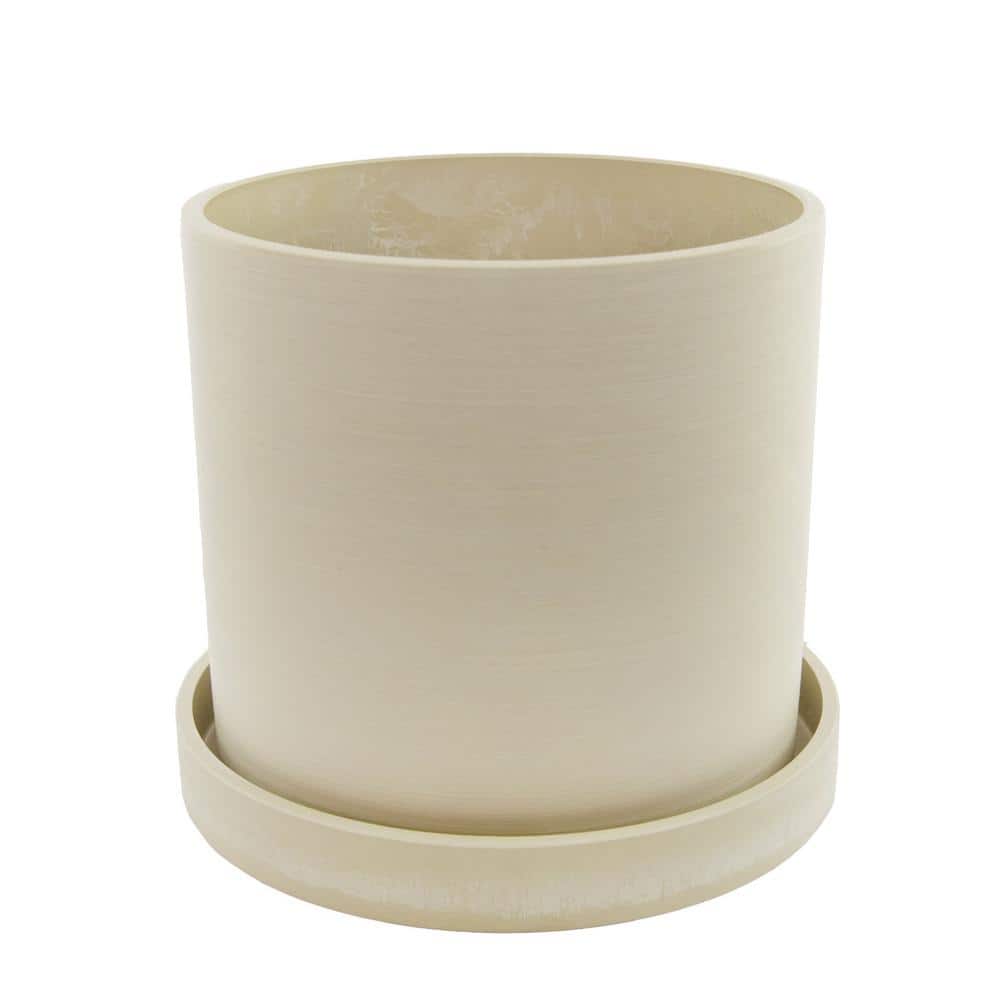 7 in. Cream Ceramic Planter with Parlor Palm Houseplant