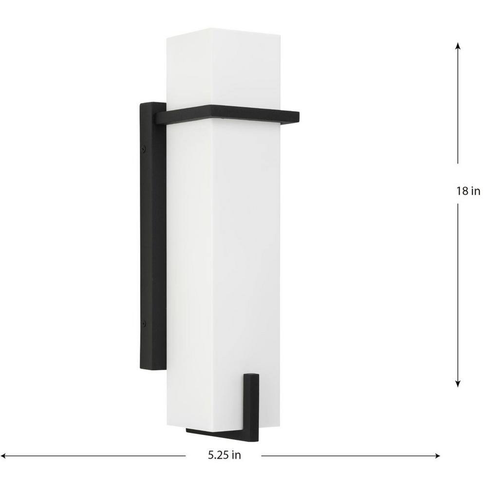Black Modern Medium Outdoor Wall Lantern with Acrylic Shade