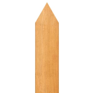 1/2 in. x 3-1/2 in. x 40-1/4 in. Western Red Cedar Pointed Top Fence Picket (18-Pack)