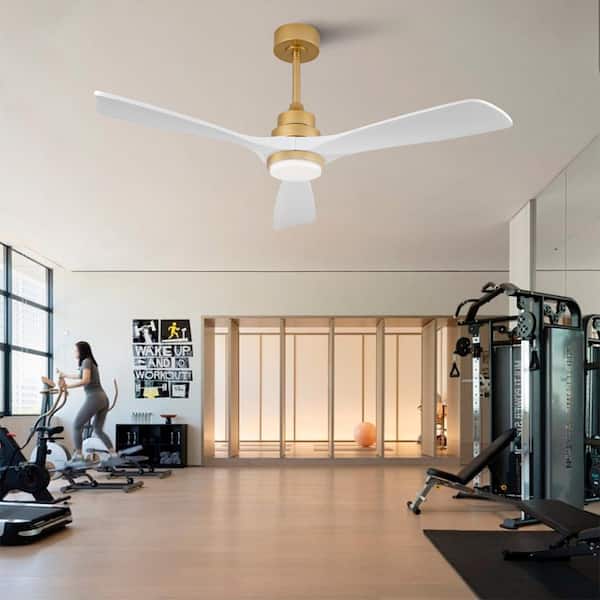 52 in. Gold White Downrod Mount Standard Ceiling Fan with LED Light and Remote Included