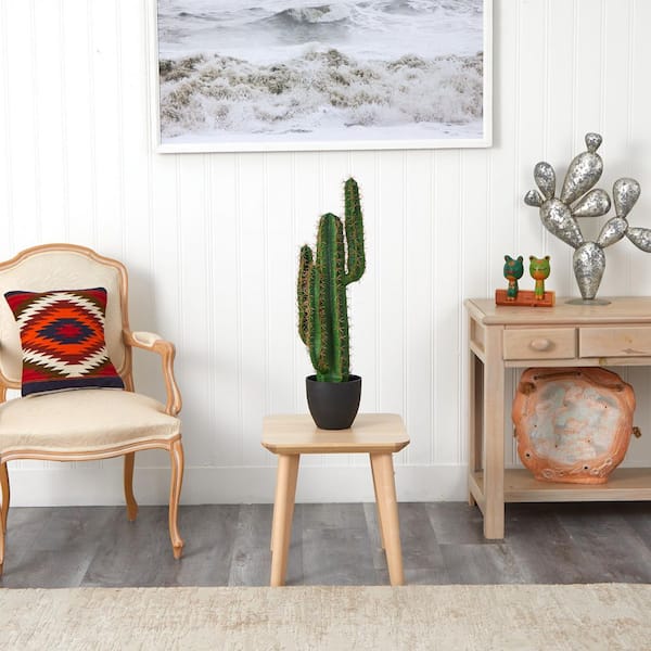 Succulentes Naturel & designer furniture