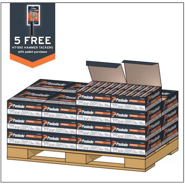 5010C 1/2 in. W Crown 5/16 in. Leg 1/2 Pallet 20-Gauge Galvanized Steel Construction Staples (5000 Per Box)