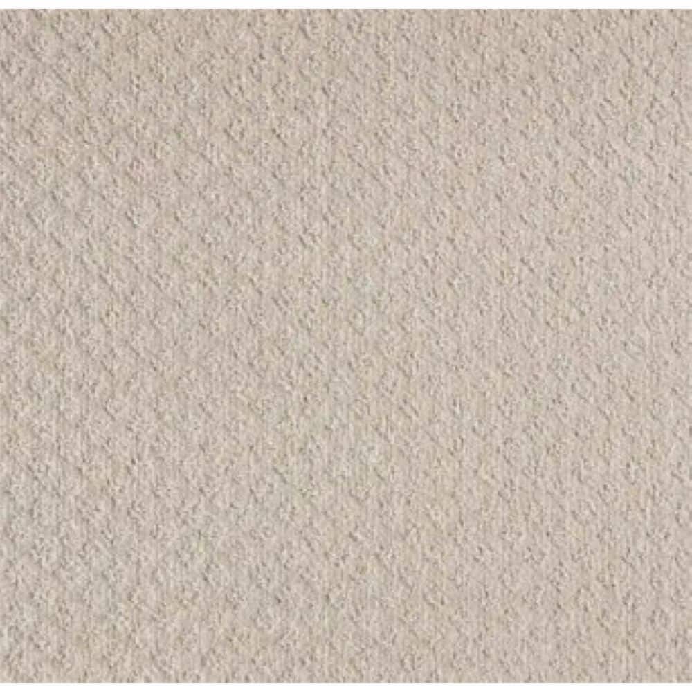 8 in. x 8 in. Pattern Carpet Sample - Bradlow - Color Optimism price history on PriceWatchPro