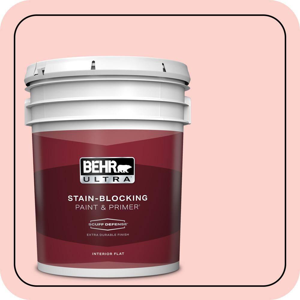 5 gal. #150A-2 Rose Sorbet Extra Durable Flat Interior Paint & Primer price history on PriceWatchPro