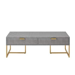 46.3 in. Gray Rectangle Wood Coffee Table with Storage