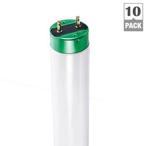 32-Watt 4 ft. ALTO Linear T8 Fluorescent Tube Light Bulb, Daylight (6500K) (10-Pack)