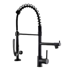 High Arc Single Handle Pull Down Sprayer Kitchen Faucet, Commercial Kitchen Sink Faucet in Matte Black