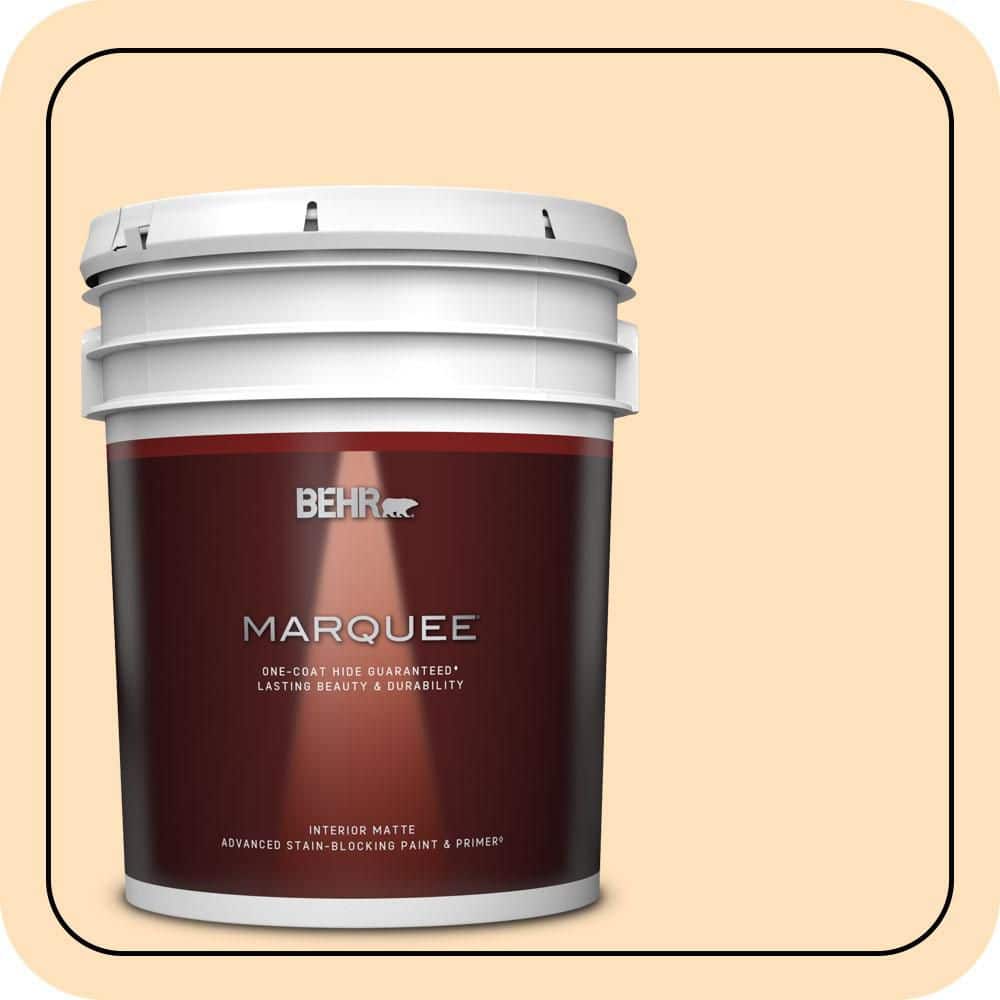 5 gal. #310C-2 Orange Glow Matte Interior Paint & Primer product image for price tracking