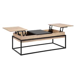 Thiede 48.8 in. Natural Rectangle Wood Storage Coffee table With Lift Top