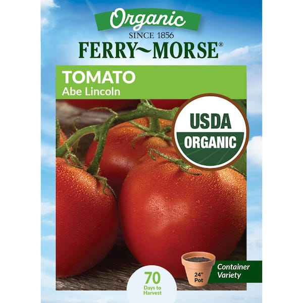 Organic Tomato Abe Lincoln Heirloom Fruit Seeds