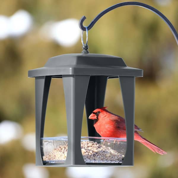 PetsN'all Two-Piece Adjustable Clear View Window Bird Feeder (Fly-through) PetsN'all Two-Piece Adjustable Clear View Window Bird Feeder (Fly-through)