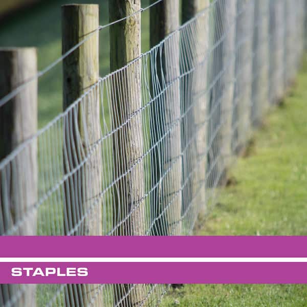 Plant Fencing Netting staples Fence Galvanised wire U nails Heavy duty 