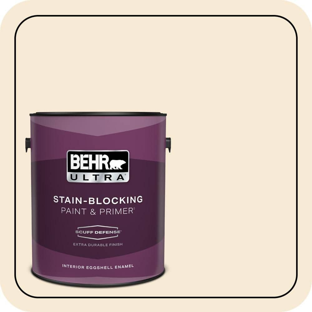 1 gal. Home Decorators Collection #HDC-CT-02 Garden Rose White Extra Durable Eggshell Enamel Interior Paint & Primer price history on PriceWatchPro