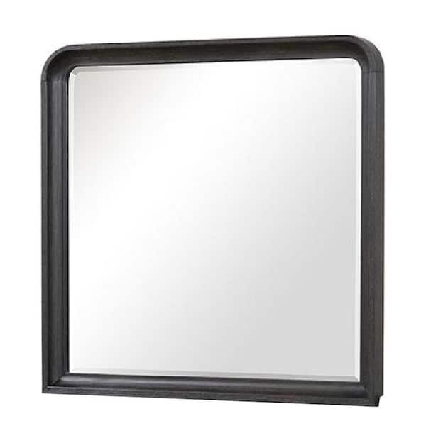 Osko Black 2.5 in. W x 40 in. H Modern and Contemporary Rectangle Wood Framed Mirror