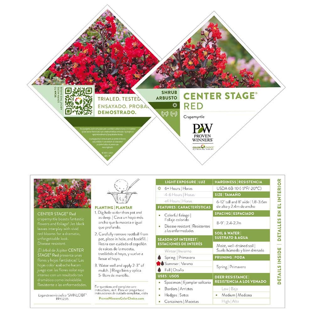 2 Gallon Red Center Stage Crape Myrtle Shrub