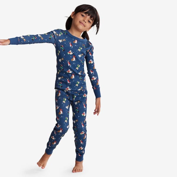Company Organic Cotton Matching Family Pajamas Men's XX-Large Dino Navy  Multi Pajama Set