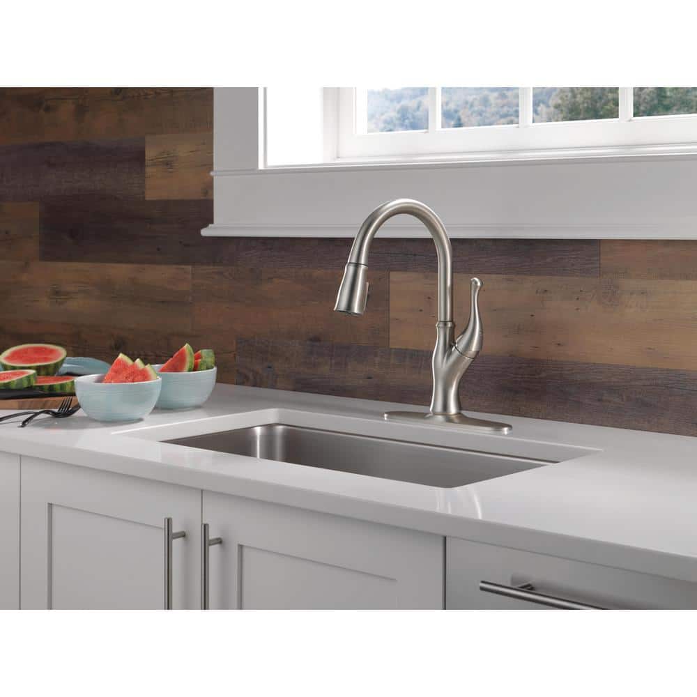 Ophelia Stainless Steel Pull Down Kitchen Faucet with Spray