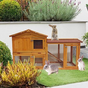 57.08 in. W Solid Wood Wearable and Strong Chicken Coops for Playground