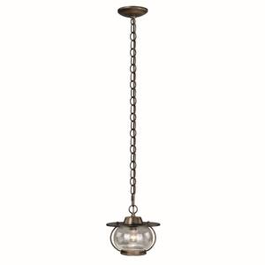 Jamestown 1-Light Parisian Bronze Coastal Mini Pendant Globe Ceiling Light Clear Glass