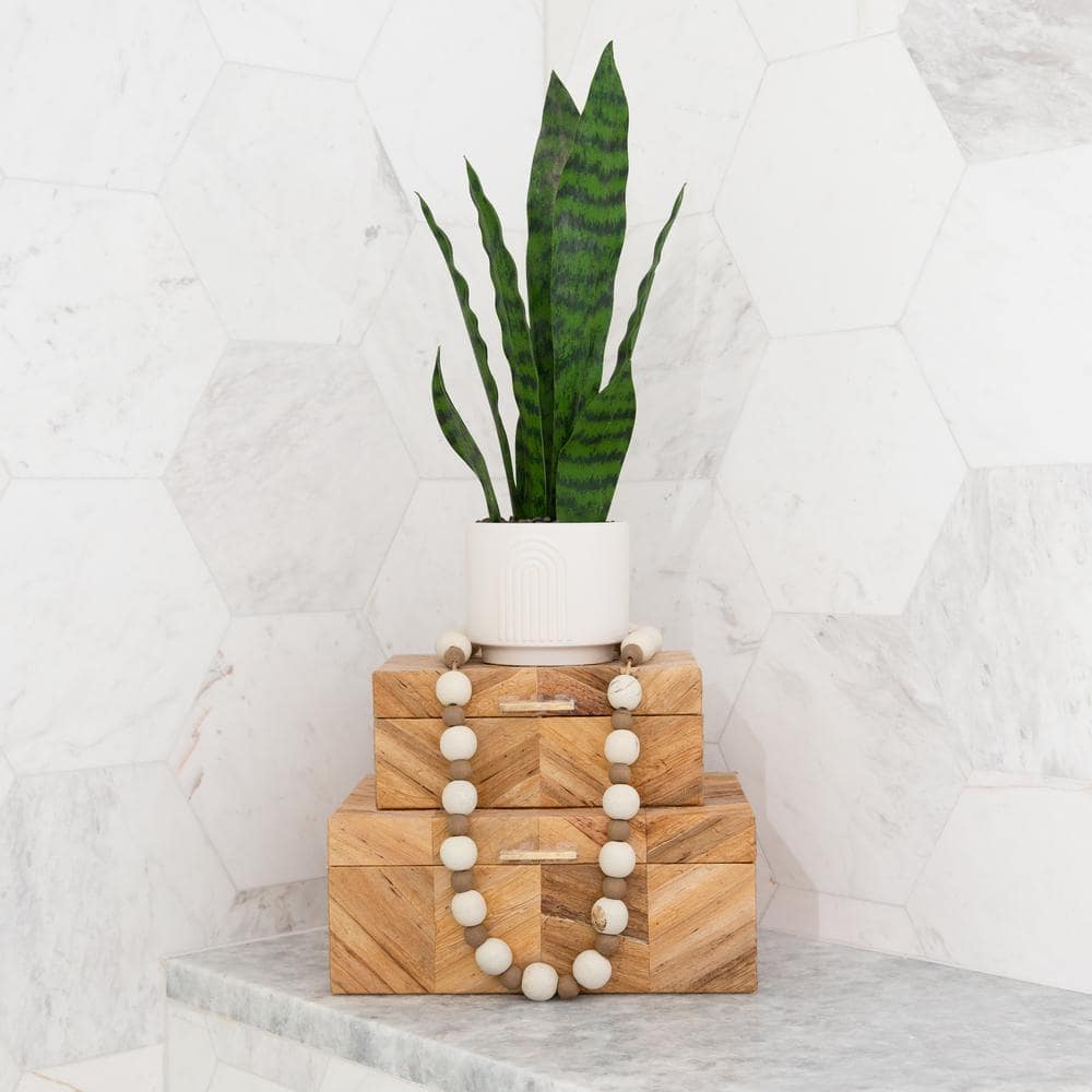 Modern Green Plastic Snake Plant in White Pot