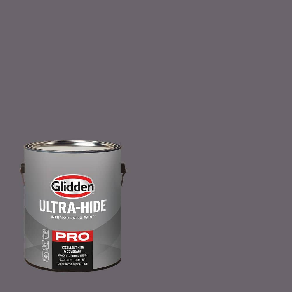 1 gal. PPG1003-6 Cracked Slate Semi-Gloss Interior Paint price history on PriceWatchPro