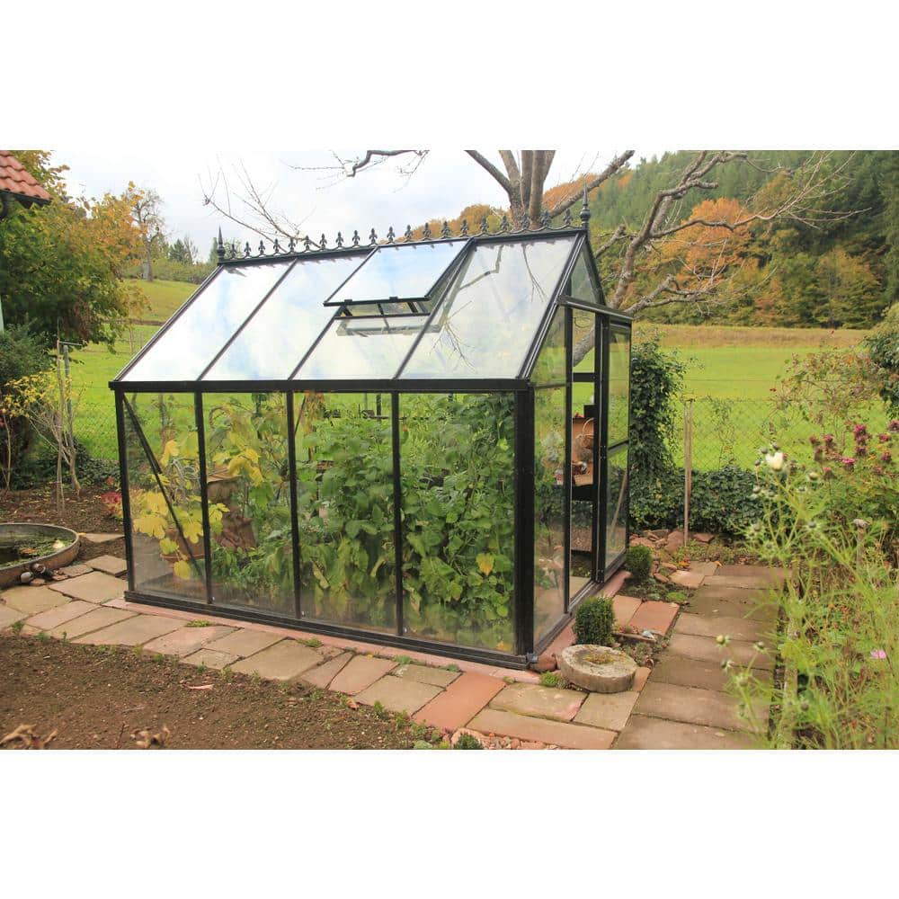 Junior Victorian Black Aluminum and Glass Walk-In Greenhouse