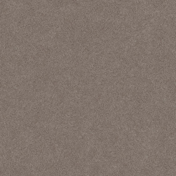 Lifeproof Coastal Charm I - Color River Pebble -Brown 42 oz. Nylon Texture Installed Carpet