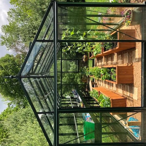 Exaco Royal Victorian VI36 10 ft. x 20 ft. Greenhouse Green Glass