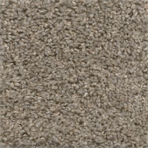 Wonder - Stunner - Gray 20 oz. SD Polyester Texture Installed Carpet