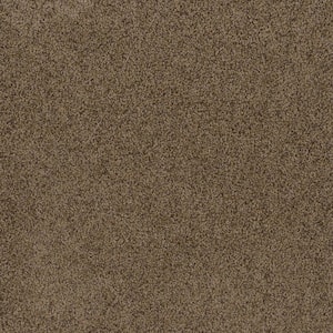 Dream Wish - Ambition - Beige 32 oz. SD Polyester Texture Installed Carpet