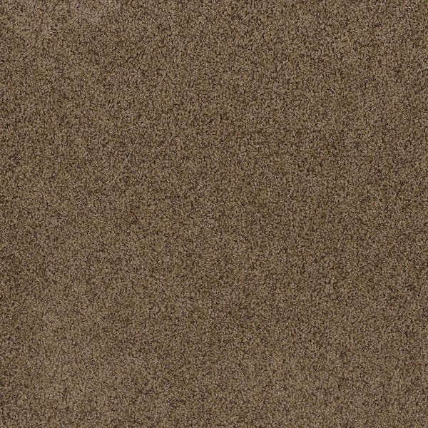 TrafficMaster Dream Wish - Ambition - Beige 32 oz. SD Polyester Texture Installed Carpet