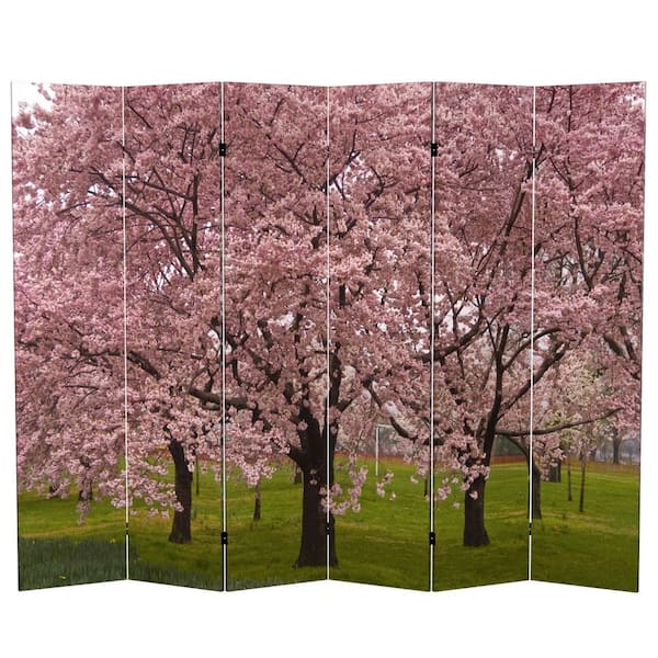 6 ft. Printed 6-Panel Room Divider