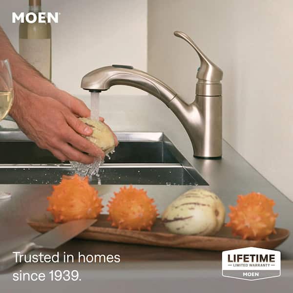 rai_ka.mam  MOEN Renzo Spot Resist Stainless 9 in. H Pull Out Sprayer Kitchen